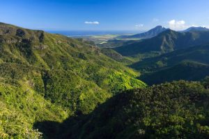 Aerial view of the lush forests of Black River Gorges National Park in Mauritius