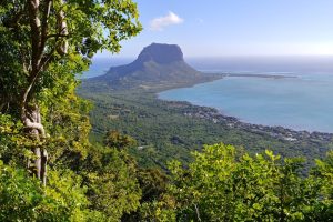 A scenic canopy walkway through Ebony Forest Reserve.