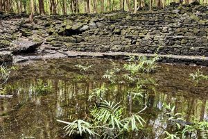 Hiking in Bras d'Eau National Park