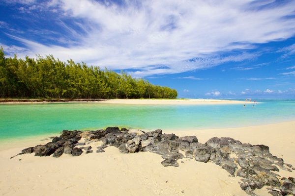 Beautiful white sand beach with palm trees