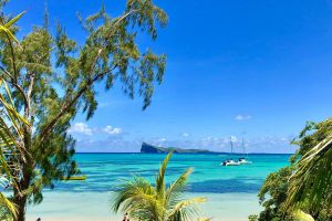Coin de Mire in Mauritius with vibrant red flamboyant trees in full bloom, under sunny November skies.