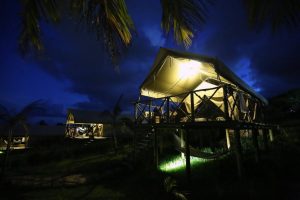 Aerial view of Otentic Eco Tent surrounded by lush greenery.