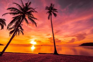 Sunset at Flic en Flac beach in Mauritius with palm trees and ocean waves.