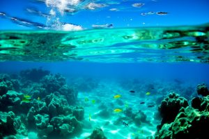 Tourists snorkeling in the turquoise waters of Mauritius, surrounded by vibrant coral reefs.