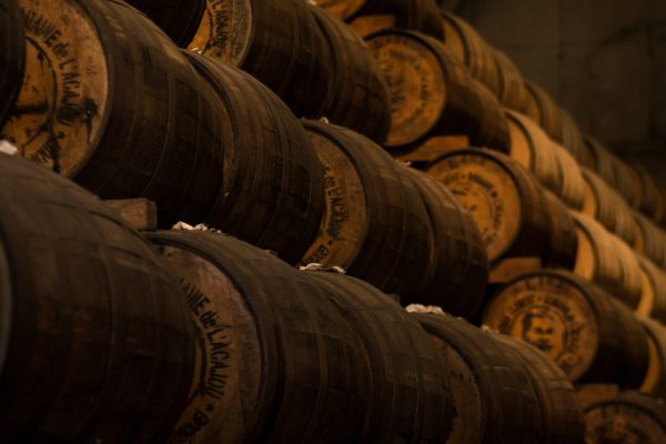 Discover the process of crafting high-quality rum in Mauritius.